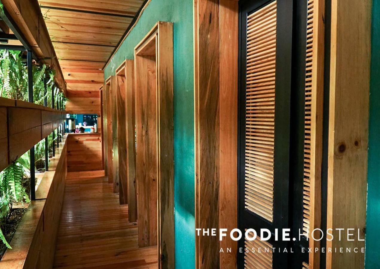 The Foodie Hostel Meksika Dış mekan fotoğraf